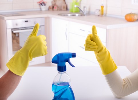 Carpet cleaning estimate for a Waterloo home with transparent pricing