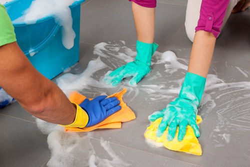Eco-friendly domestic cleaning service in Waterloo for modern households