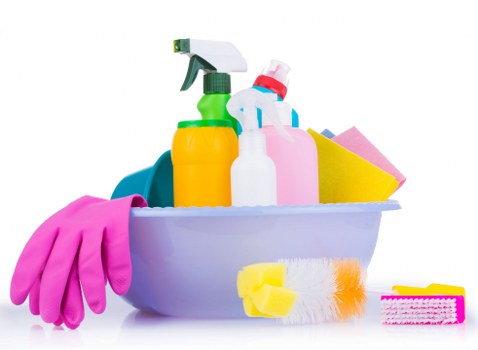 Professional carpet cleaner in Waterloo deep cleaning a residential carpet