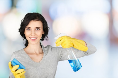 Streak-free window washing in Waterloo for a bright property