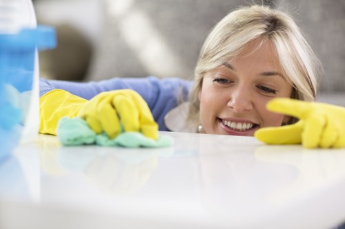 Detailed oven cleaning service in Waterloo with racks and glass door polished