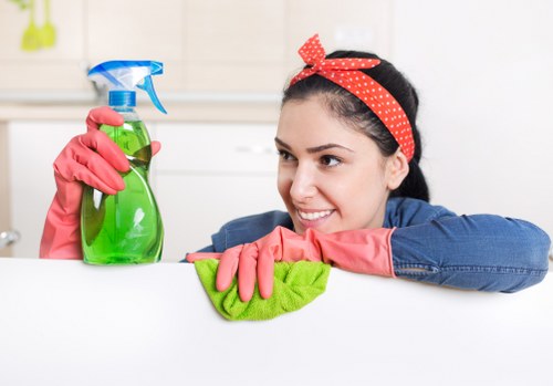 Recyclable items separated during an environmentally responsible house clearance