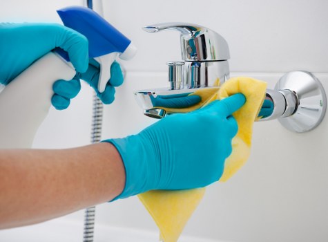 Residential carpet cleaner in Waterloo removing stains and odors